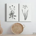 thumbnail image 6 of Inky Botanical I Premium Gallery Wrapped Canvas - Ready to Hang - Set of 2 - 40 x 60 Each, 6 of 9
