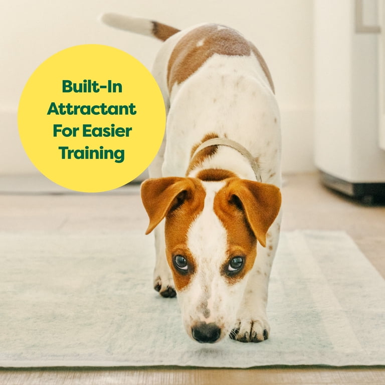 Earth Rated Leak-Proof Pee Pads, Large, 50-Count photo 6