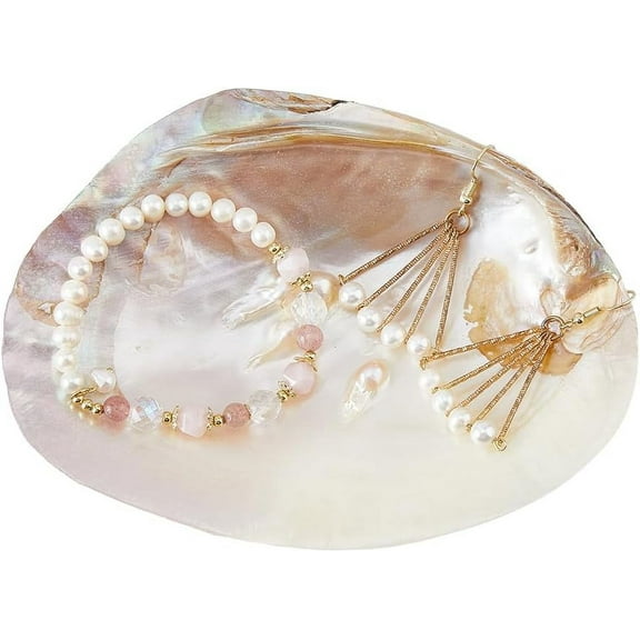 1pc Natural Shell Jewelry Dish Tray Seashell Ring Holder 14.2x10.8cm/5.6x4.3inch Decorative Trinket Dish Stand for Earring Necklace Organizer Holder