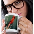 thumbnail image 2 of 3drose, Usa, Texas , Rio Grande Valley, Cardinal Bird - Us44 Bja0113 - Jaynes Gallery, 11oz Mug, 2 of 6
