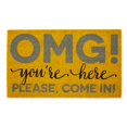 thumbnail image 1 of Design Imports DII OMG Paillasson Vous Tes Ici 18x30, 1 of 4