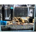 thumbnail image 6 of Fish Tank Mute Pneumatic Filter Accessories Aquarium Biochemical Sponge Filter, 6 of 8