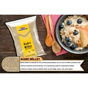 Rani Kodri (Polished Kodo Millet Seeds) Ancient Grains 400g (14oz) ~ All Natural | Gluten Friendly | NON-GMO | Kosher | Vegan | Indian Origin (Varagu / Kodra / Harka)
