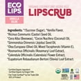 Eco Lips Organic Exfoliating Vanilla Bean Lip Scrub 0.25