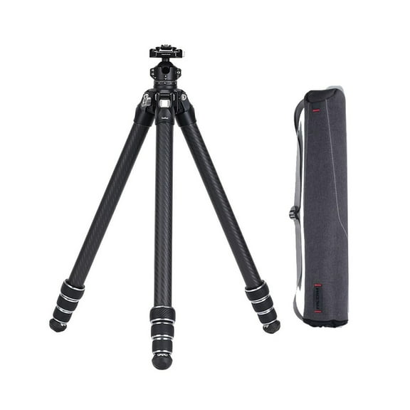 FALCAM TreeRoot F38 Quick Lock Lite Carbon Fiber Travel Tripod with Ball Head Load Capacity 3kg/6.6lbs, Max Vertical Payload 40Kg/88lbs for Cameras (C141K-301)