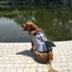 thumbnail image 2 of Chaleco salvavidas para perros, traje de baño de tiburón para mascotas, ropa de seguridad para mascotas, 2 of 8
