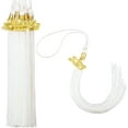 thumbnail image 1 of 18 Pieces Graduation Academic Hat Tassels with 2023 Year Gold Date Pendants(white), 1 of 5