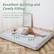 Slsy Japanese Floor Mattress Futon Mattress, Thicken Sleeping Pad Foldable Roll Up Mattress Kids Floor Lounger Bed Couches Sofas, Guest Bed