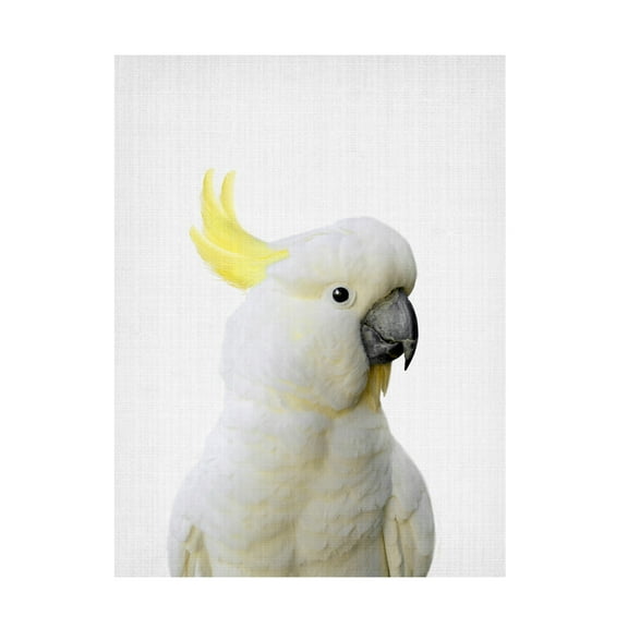 Trademark Fine Art Lola Peacock Peekaboo Cockatoo Canvas Wall Art