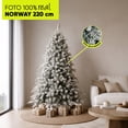 thumbnail image 2 of Árbol de Navidad Nevado Norway spruce con rama seca flocked snow Artego  incluye maleta - 220cm, 2 of 8