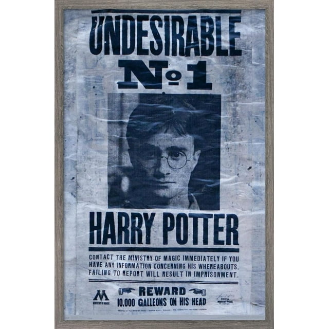 Le Monde des Sorciers : Harry Potter - Indésirable