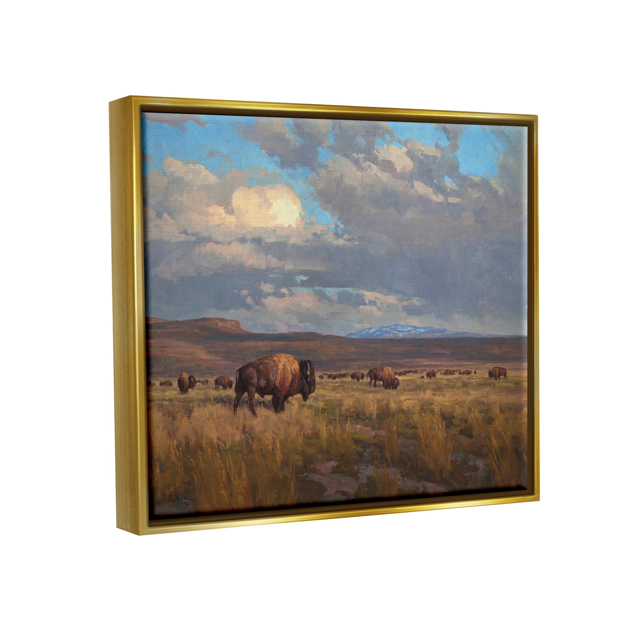Stupell Industries Buffalo Cloudy Landscape Landscape Painting Gold Floater Framed Canvas Art Print Wall Art, 31 x 25