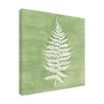 thumbnail image 2 of Vanna Lam 'Forest Ferns I' Canvas Art, 2 of 3