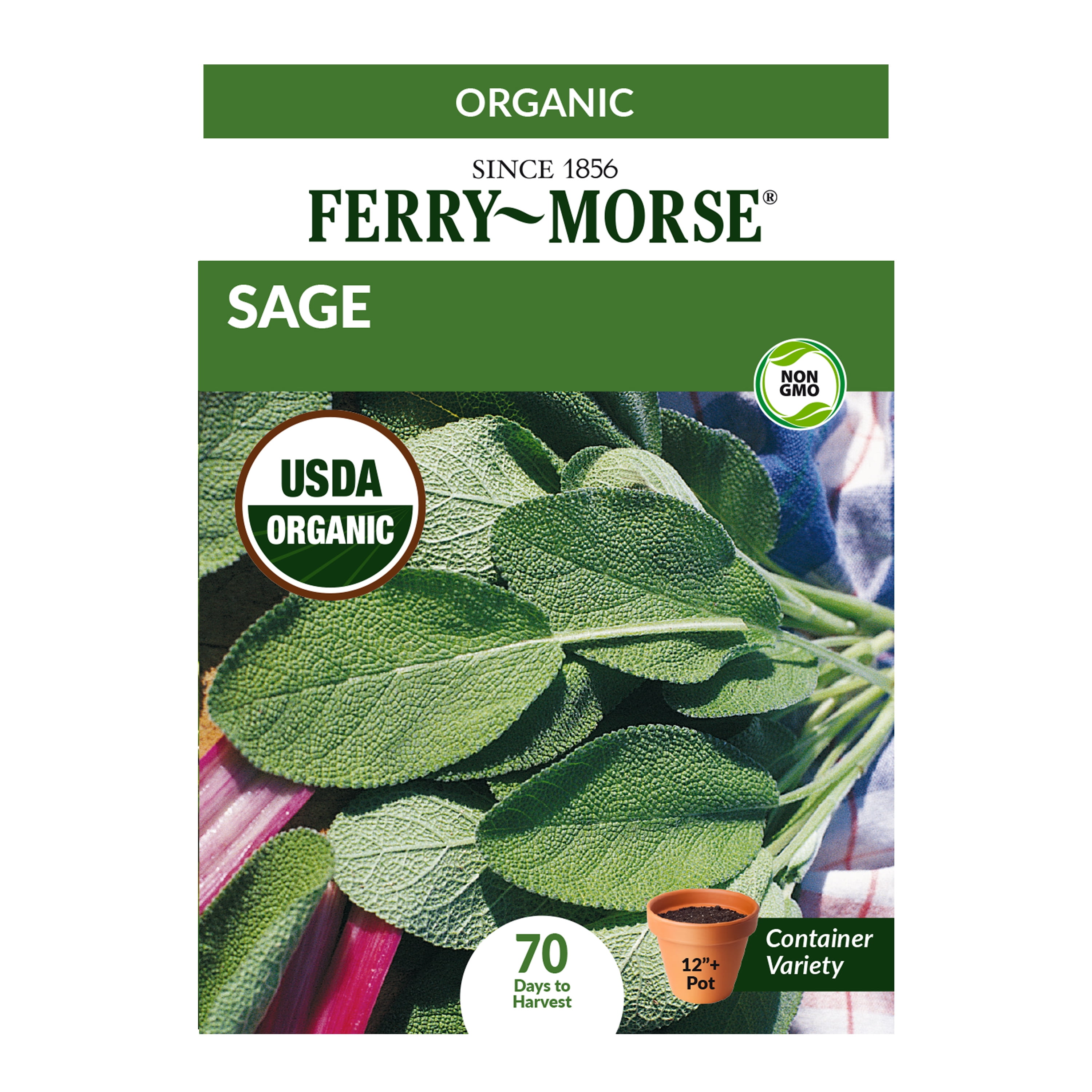 Ferry-Morse Organic 53MG Sage Herb Plant Seeds Packet - Seed Gardening, Full Sunlight
