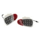 thumbnail image 4 of Lámpara de puerta interior Bling Bling luz de cortesía LED para FORD F-150 1997-2003 y F-250 1997-1999, 4 of 12
