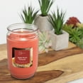 thumbnail image 6 of (4 pack) Mainstays Apple Pecan Turnover, Scented Single Wick Candle, 20 oz., 6 of 6