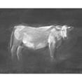 thumbnail image 3 of Harper, Ethan 14x12 Black Modern Framed Museum Art Print Titled - Charcoal Bovine Study I, 3 of 5