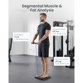thumbnail image 4 of Báscula RENPHO Smart Body Analyzer 8 electrodos 180 kg, 4 of 7