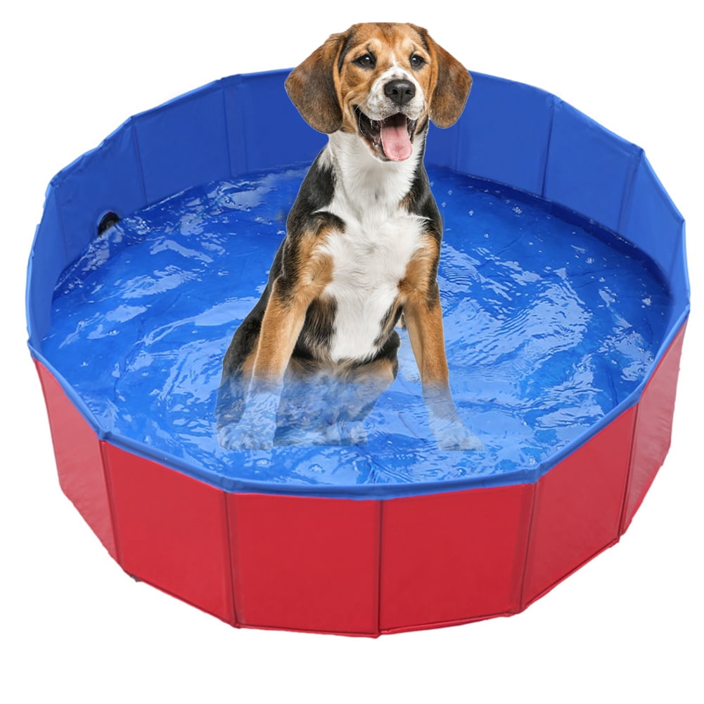 swimming dog bath toy
