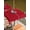 Red, variant on Outdoor Tablecloth with Umbrella Hole and Zipper, Pure Red Square Table Cloth 54x54 Inch Waterproof Tablecloth, Simple Solid Color Picnic Table Cover for Patio Camping