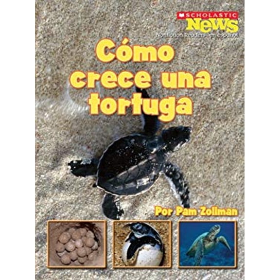 Pre-Owned Como crece una tortuga / A Turtle Hatchling Grows Up (Scholastic News Nonficiton Readers En Espanol) (Spanish Edition), 9780531206454, 0531206459, Paperback,