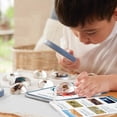 thumbnail image 3 of Kaplan Early Learning Company Specimen Stones: Bugs - 9 Pieces, 3 of 8