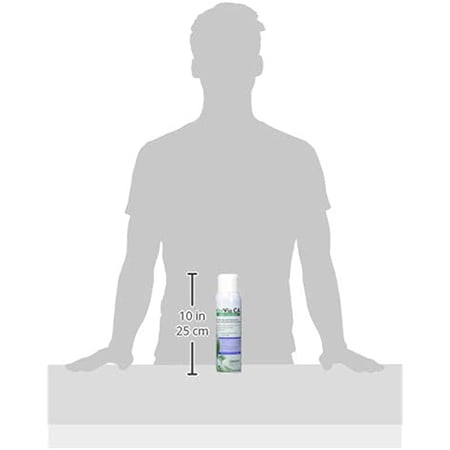 Rockwell Labs EVCA016 EcoVia CA Insecticide Contact Aerosol
