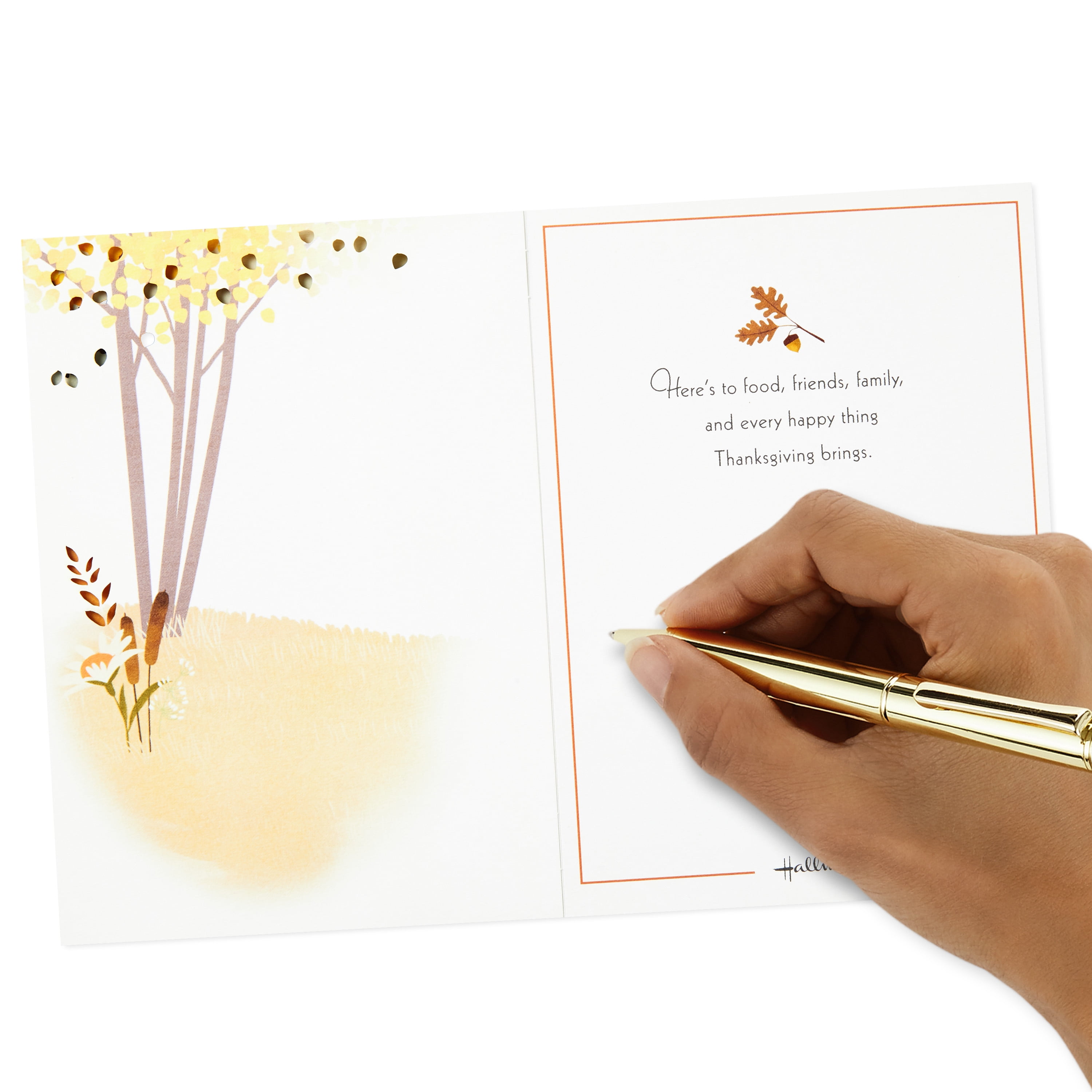Hallmark Paper Wonder Displayable Pop Up Thanksgiving Card (Give Thanks)