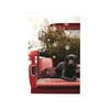 DaySpring Black Lab in Red Truck Bed Card