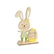 thumbnail image 1 of Injueey Adornos de conejo de Pascua, decoraciones de para fiestas en casa, regalos, suministros de escritorio de conejito, accesorios de Kits de decoración para fiestas Huevo, 1 of 6