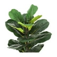 thumbnail image 4 of Artificial Plant - 28" Tall - Indoor - Floor - Potted - Green Leaves, 4 of 6