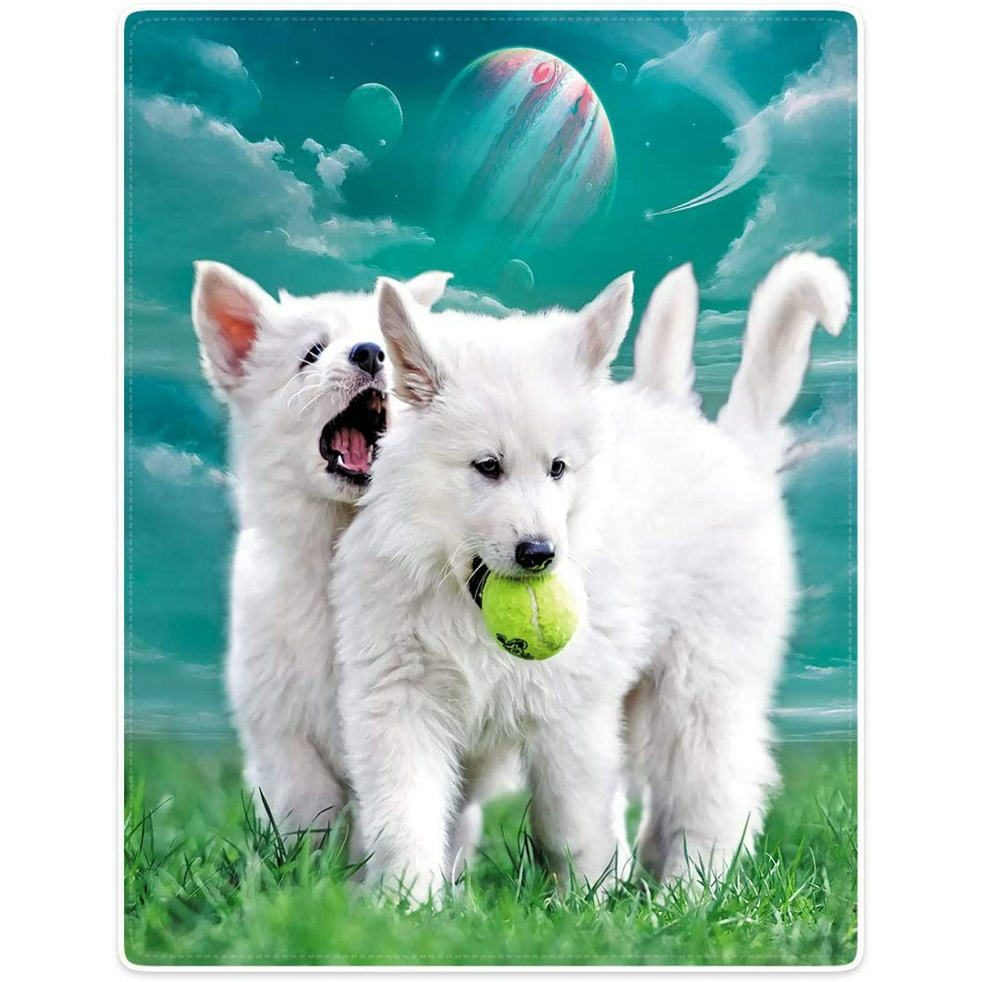 Why Do Dogs Play With Blankets