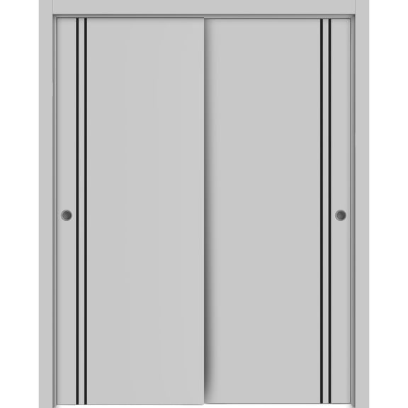 Sliding Closet Bypass Doors 48 x 84 inches | Planum 0016 Grey Matte with Frosted Glass | Sturdy Rails Moldings Trims Hardware Set | Wood Solid Bedroom Wardrobe Doors