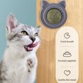thumbnail image 3 of Catnip Energy Ball Cat Clean Toy Rotatable Autoadhesivo Suministros para, 3 of 6