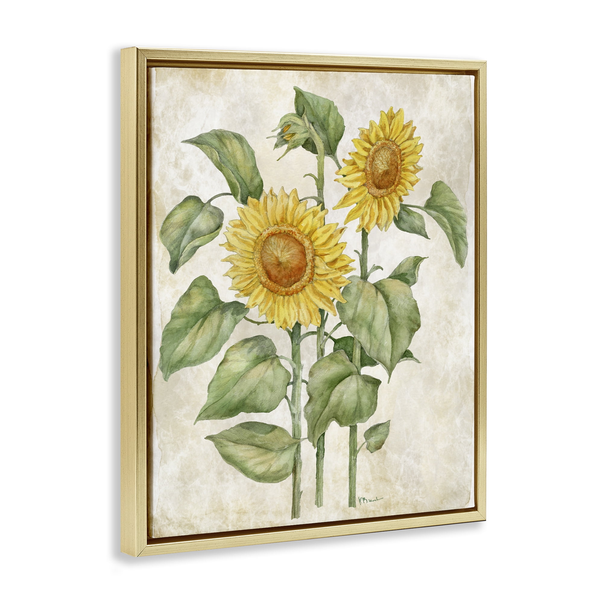Stupell Industries Floral Journal Vintage Sunflower Gold Framed Floater Canvas Wall Art, design by Paul Brent