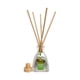 thumbnail image 1 of Difusor ecológico  Cucumber Melon set de 3 aromatizante Sinovelas Sinofragance Reed Diffuser,       30 ml Cucumber Melon, 1 of 4