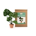 thumbnail image 5 of Felting Kit - Monstera Needle Felt Kit, 5 of 5