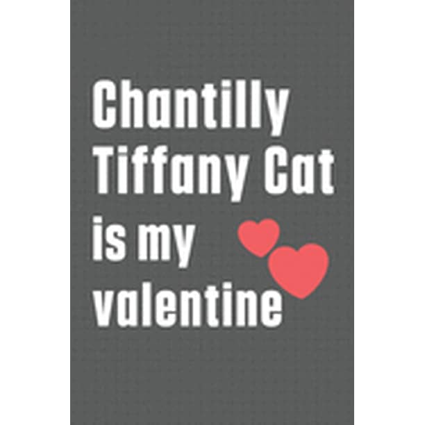 Chantilly Tiffany Cat Is My Valentine For Chantilly Tiffany Cat Fans Paperback Walmart Com