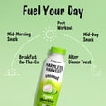 Organic Coconut Smoothie Blend Of Coconut Water And Coconut Meat organic-coconut-smoothie-blend-of-coconut-water-and-coconut-meat