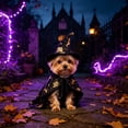 thumbnail image 7 of FEOLGEHLY Halloween Dog Hat Set and Witch Cloak, Soft Blend Adjustable Holiday Dog Costume, Cosplay Dress Up Dog Outfit for Small Medium Dogs Cats Party Photo Props, Halloween Fall Decorations, 7 of 7