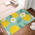 thumbnail image 5 of Daiia Design Name Door Mat Outdoor Indoor Hello Doormat, 16x24 Inch,Entry Rug Non-Slip Washable Indoor Door Mat, Small Oriental Accent Throw Rug For Bedroom Kitchen Entryway Bathroom, 5 of 9