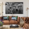 thumbnail image 3 of Cow Black And White Veal Animal Themes Looking At Camera Canvas Art Poster And Wall Art Picture Print Modern Family Bedroom Decor Posters,Unframe-style,12x18inch(30x45cm), 3 of 8
