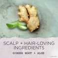 thumbnail image 5 of Rooted Rituals Ginger Root and Aloe Hydrating Conditioner, 8.4 Fl Oz, 5 of 10