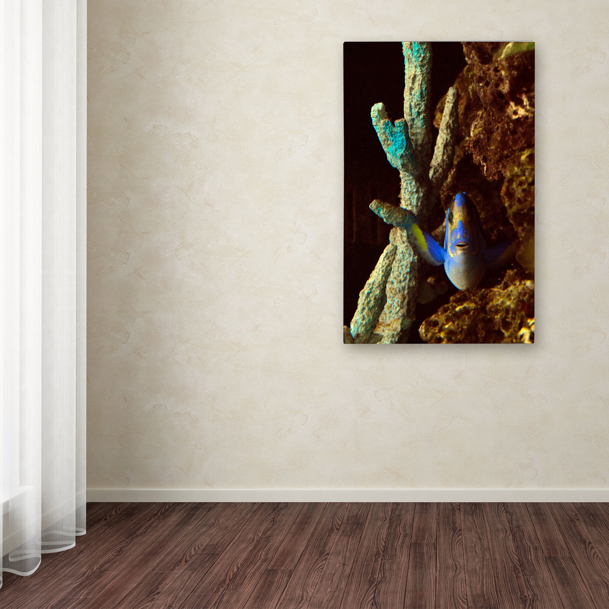 Trademark Fine Art "Fish in the Rocks" Canvas Art by Kurt Shaffer