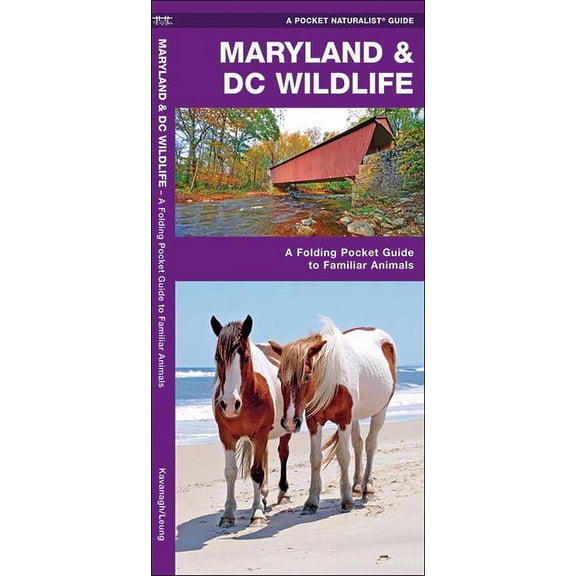 Wildlife and Nature Identification: Maryland & DC Wildlife : A Folding Pocket Guide to Familiar Animals (Other)