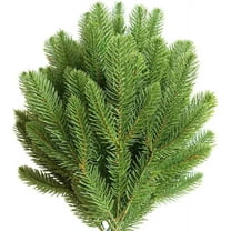 30Pcs Artificial Pine Picks Branches Green Plants Pine Accessories for Garland Needles Wreath Christmas and Home Garden Decor DIY, 10.5Inch