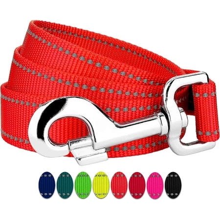 1 Inch Blaze Orange Reflective Nylon Dog Leash - 4 Foot