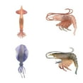 thumbnail image 3 of kurtrusly Marine Animal Model Solid Simulation Intelligence Learning Toys Pink Lobster, 3 of 9