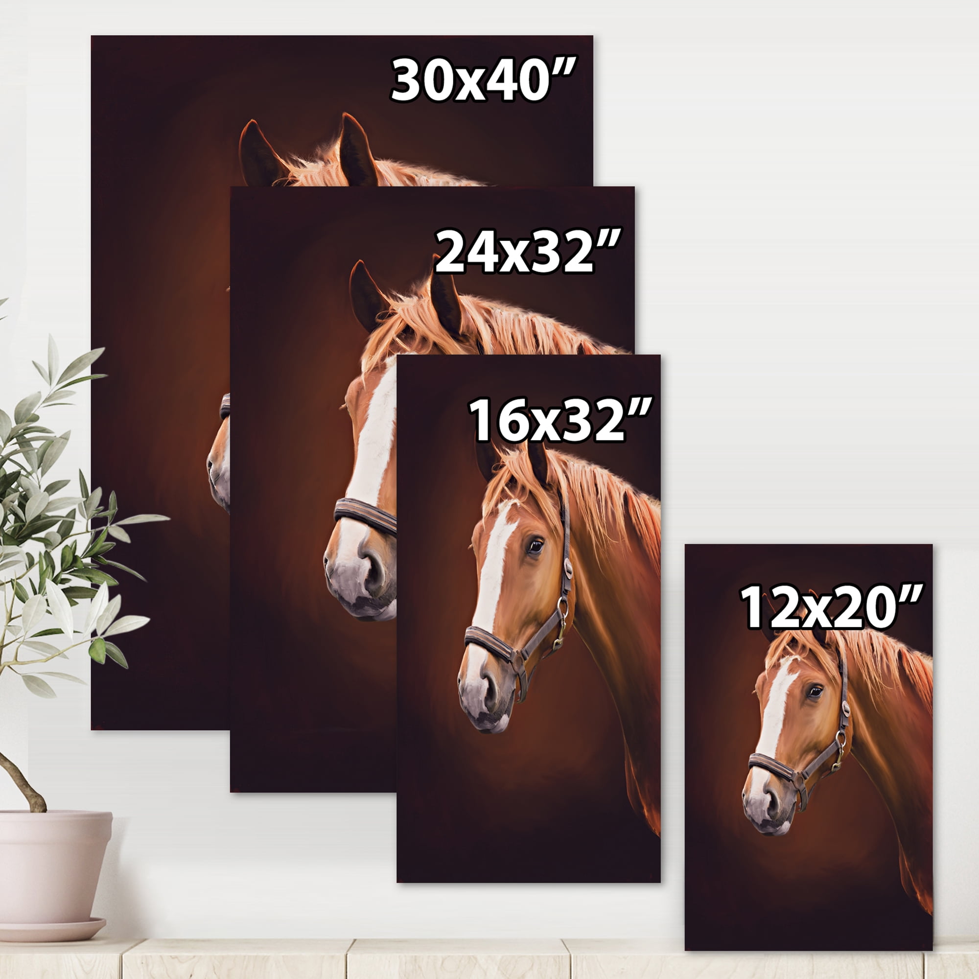 Designart ' Close Up Portrait Of Brown Horse With White Nose II ' Farmhouse Canvas Wall Art Print