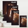 thumbnail image 4 of Designart ' Close Up Portrait Of Brown Horse With White Nose II ' Farmhouse Canvas Wall Art Print, 4 of 4